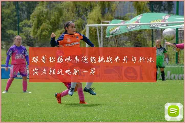 球哥称巅峰韦德能挑战乔丹与科比实力相近略胜一筹
