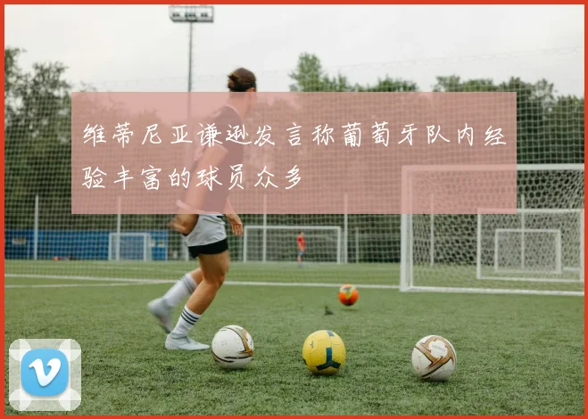 维蒂尼亚谦逊发言称葡萄牙队内经验丰富的球员众多